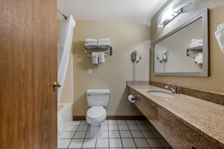 Bathroom 5, Comfort Inn Denver Southeast Area, Arapahoe