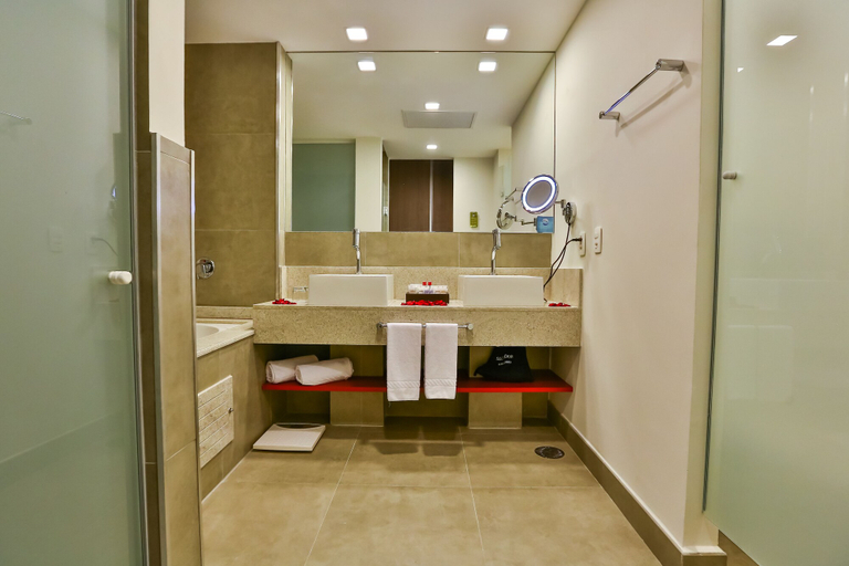 Bathroom 4, Hilton Garden Inn Santo André, Santo André