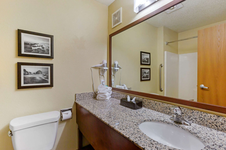Bathroom 5, Comfort Inn South, Jackson