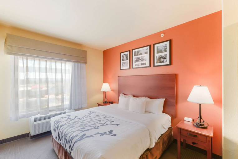 Bedroom 3, Sleep Inn & Suites Midland West, Midland
