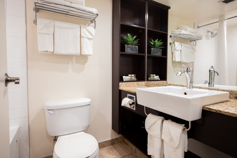 Bathroom 5, Chateau Jasper, Division No. 15