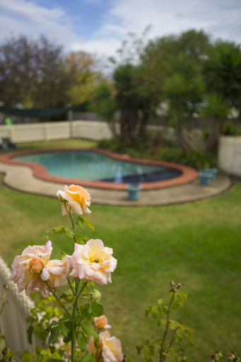 Sport & Beauty 3, Rose Garden Motel, South Barwon - Inner