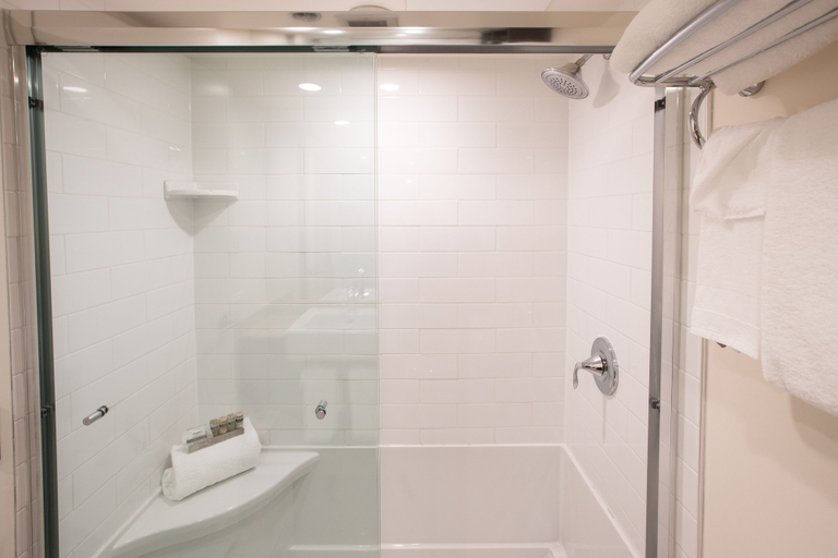Bathroom 4, Chateau Jasper, Division No. 15