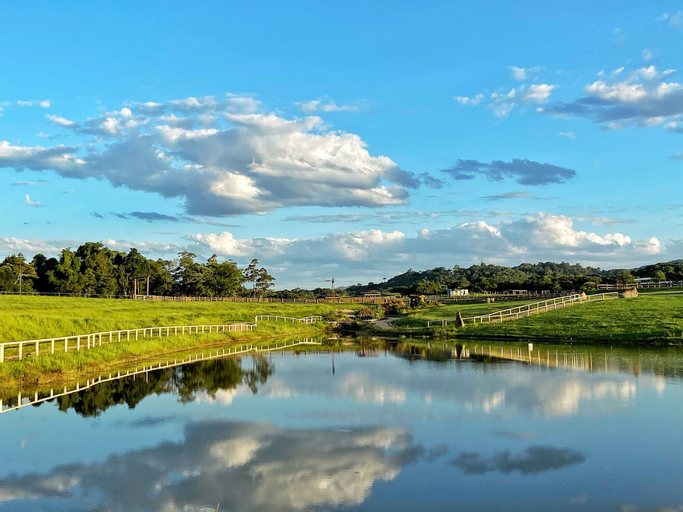 Kur Cow farm, Mareeba