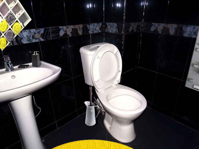 Bathroom 4, Hotel David, Samtredia