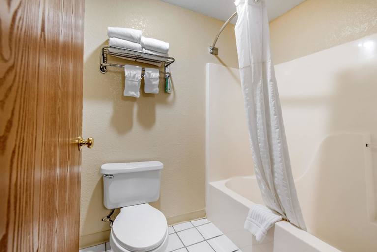 Bathroom 5, Comfort Inn Denver Southeast Area, Arapahoe