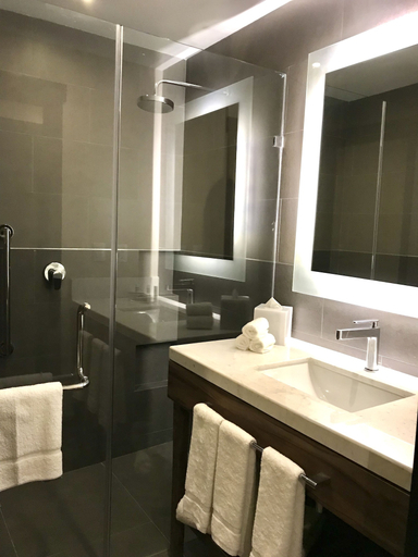 Bathroom 5, Hilton Garden Inn Aguascalientes, Jesús María