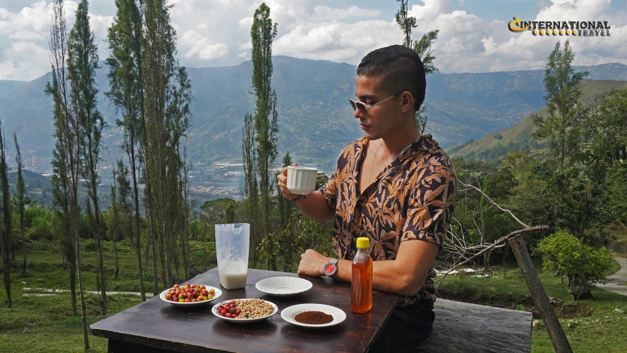 Food & Drinks 3, Reserva Tororoi, Guarne