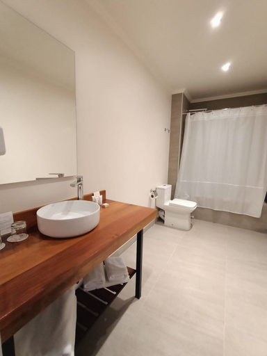 Bathroom 4, Enjoy Pucon, CautĂn