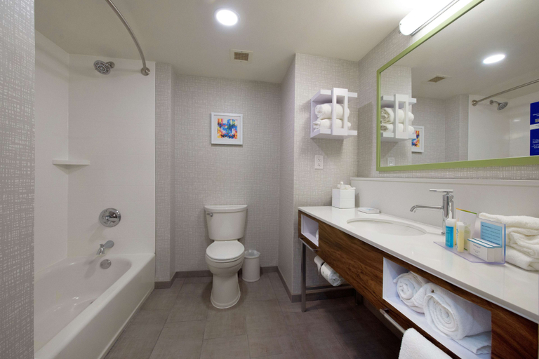 Bathroom 4, Hampton Inn Atlanta/Fayetteville, Fayette