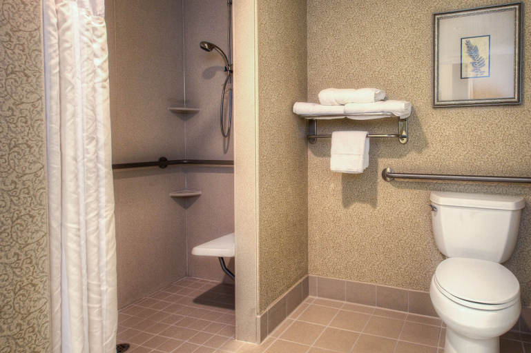Bathroom 4, Hilton Garden Inn Boise/Eagle, Ada