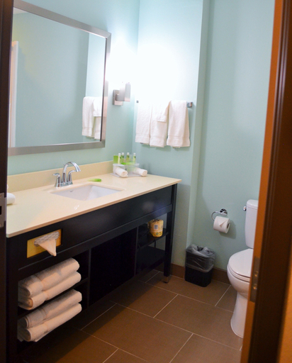 Bathroom 4, Holiday Inn Express & Suites AUSTIN SOUTH by IHG, Travis
