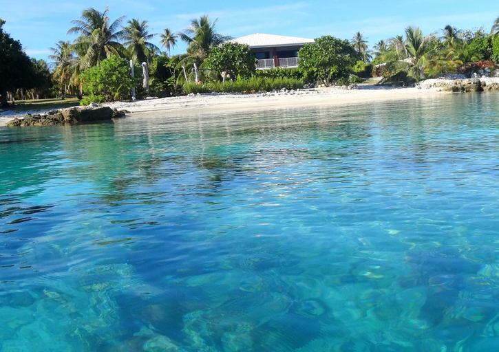Others