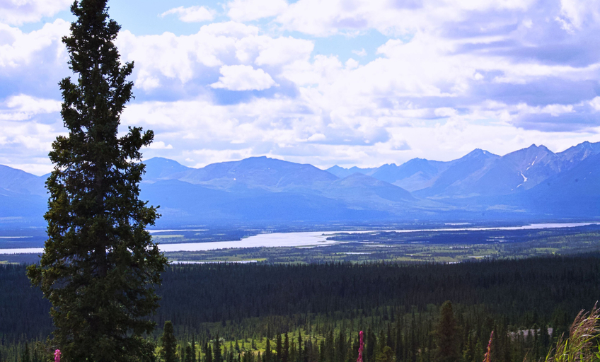 Others 4, Alpine Creek Lodge, Matanuska-Susitna