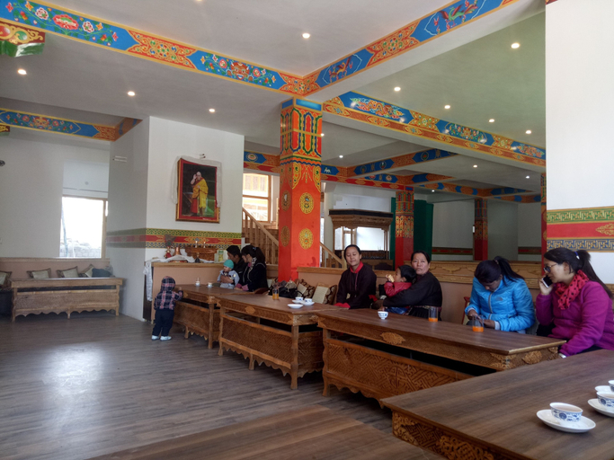 Others 5, The Grand Chubi Hotel, Leh
