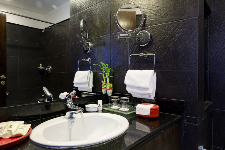 Bathroom 4, Hotel Tibet International, Bagmati