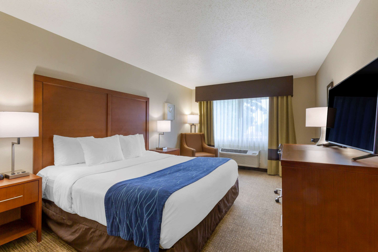 Bedroom 4, Comfort Inn South, Jackson
