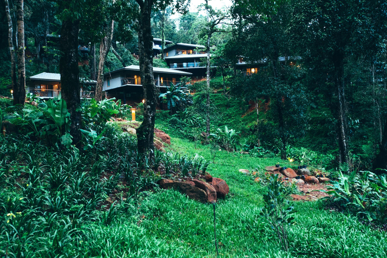 Others 1, Ayatana Coorg, Kodagu