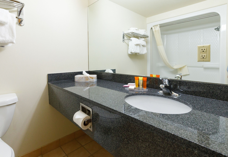 Bathroom 4, 49'er Inn & Suites, Teton