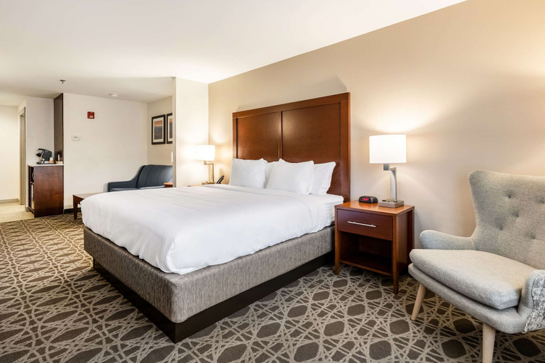 Bedroom 3, Comfort Inn & Suites Brevard, Transylvania