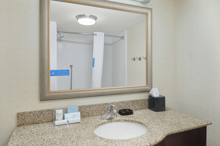 Bathroom 5, Hampton Inn Fairhope-Mobile Bay, Baldwin