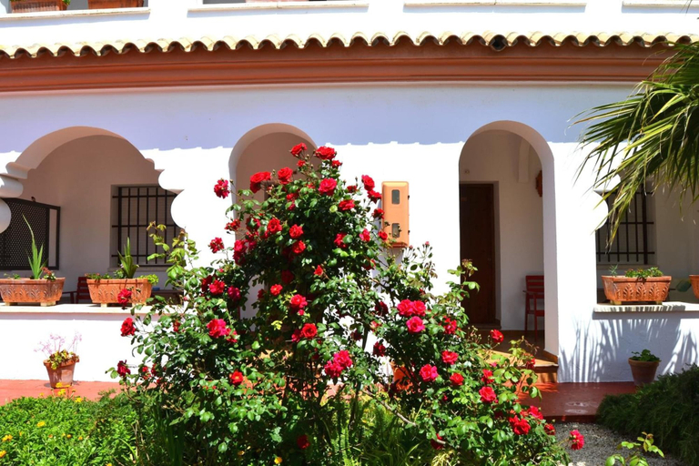Exterior & Views 2, Hostal Alhambra, Cádiz