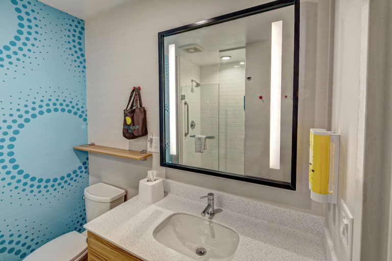 Bathroom 3, Tru By Hilton Roanoke Hollins, Roanoke