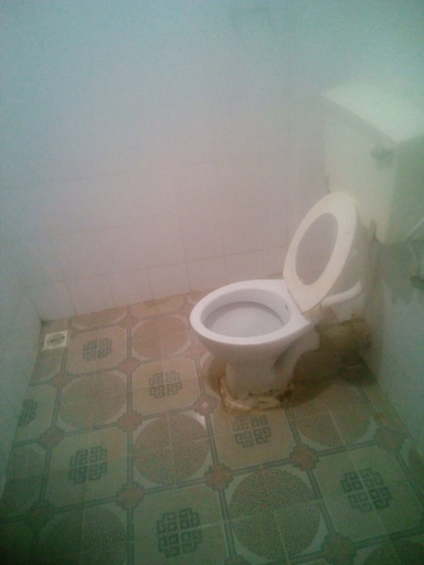 Bathroom, Chania Guest House, Naivasha