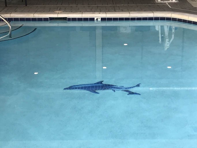 Sport & Beauty 2, La Quinta Inn by Wyndham Fort Collins, Larimer