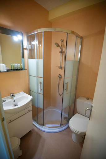 Bathroom 5, Hôtel Restaurant Saint-Benoît, Saône-et-Loire