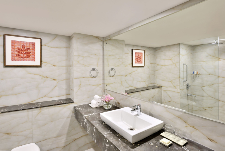 Bathroom 5, Radisson Srinagar, Srinagar