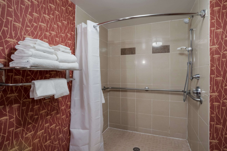 Bathroom 4, Comfort Suites Suffolk - Chesapeake, Suffolk