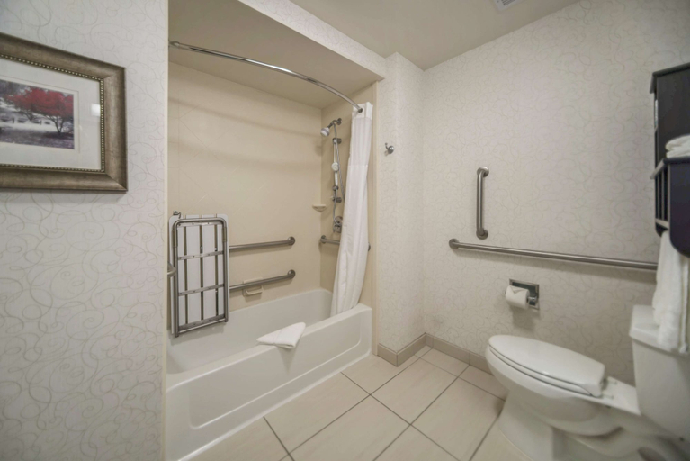 Bathroom 4, Hampton Inn & Suites Tulsa/Catoosa, Rogers