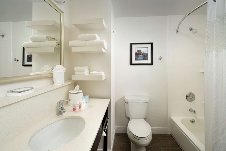 Bathroom 4, Hampton Inn Rochester-Greece, Monroe
