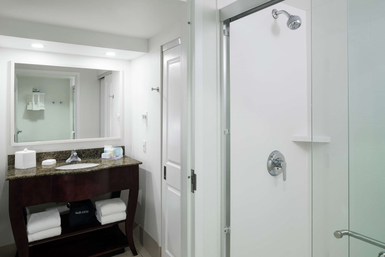 Bathroom 3, Hampton Inn & Suites Memphis-Beale Street, Shelby