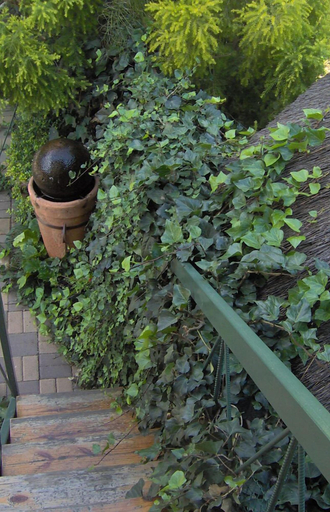 Others 4, Marnicus Guesthouse, Lejweleputswa