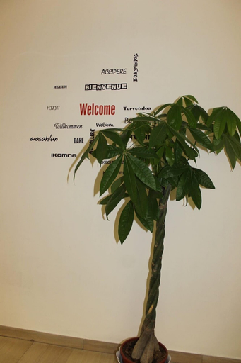 Others 5, MyRoom CenterStation, Bologna