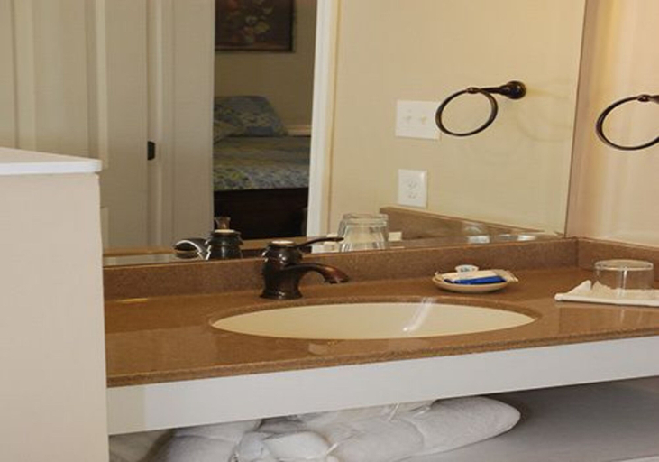 Bathroom 4, Carrier Houses B&B, Rutherford