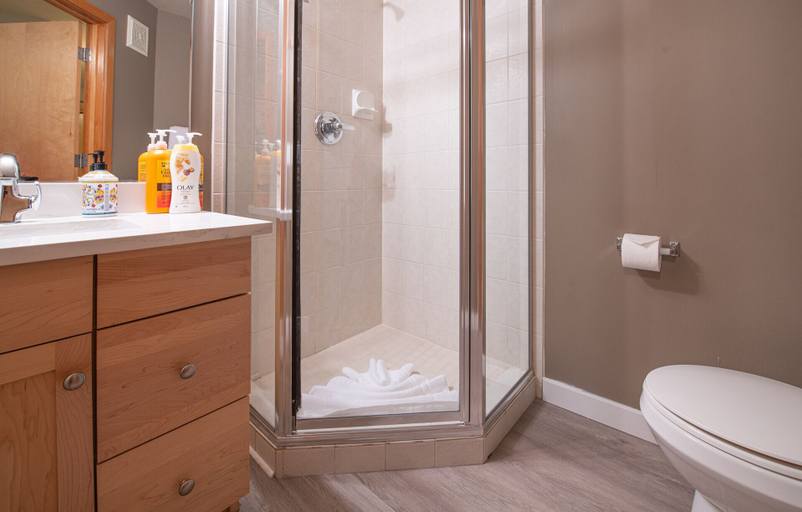 Bathroom, Mountain View 2 Bedroom Condo-Top Floor, Division No. 15