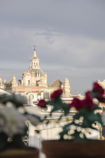 Exterior & Views 2, Hotel Plaza, Sevilla