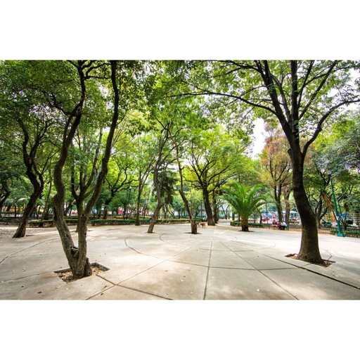 Exterior detail 4, Bright Stylish Park Front Near Polanco, Mexico City
