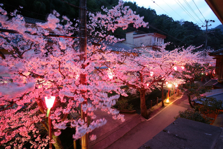 Others 5, Sento Ryokan, Toyooka