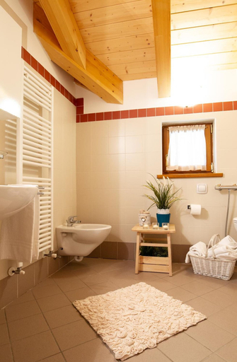 Bathroom, Chalet Giasenei, Trento