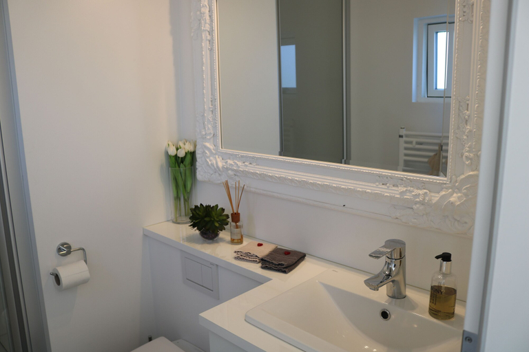 Bathroom, Laxhús Laxamýri, Reykjahreppur
