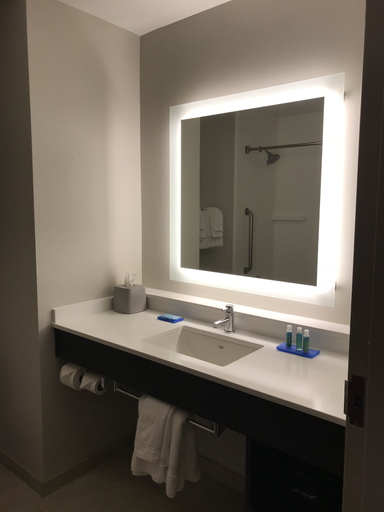 Bathroom 5, Holiday Inn Express & Suites CANTON by IHG, Madison