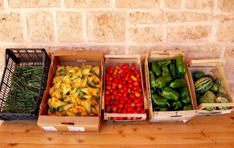 Food & Drinks 5, Agriturismo Masseria Galatea, Lecce