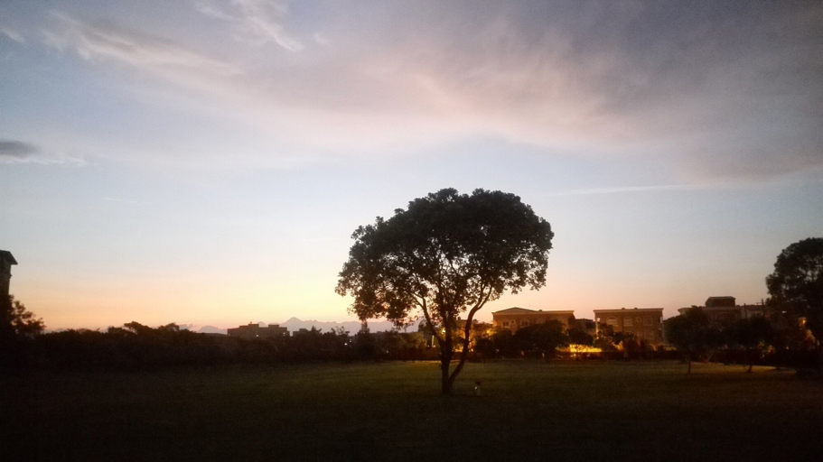 Others 4, Oak Garden, Hualien