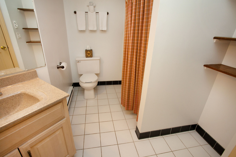 Bathroom 5, The Wolfeboro Inn, Carroll