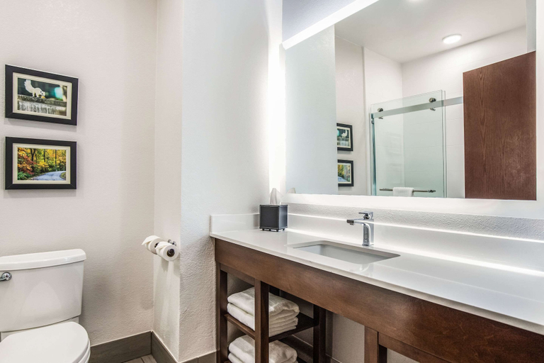 Bathroom 4, Comfort Inn & Suites Brevard North, Transylvania