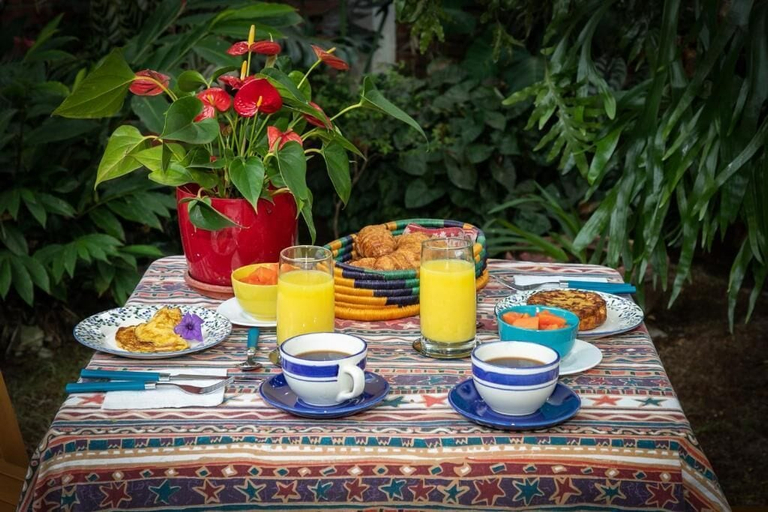 Food & Drinks 4, 50N15 B&B, Palmira